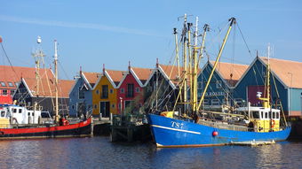 九游官网入口下载-亚布力滑雪旅游度假区2025-2026雪季旅游产品暨招商信息交流会举办，亚布力滑雪场宣传片